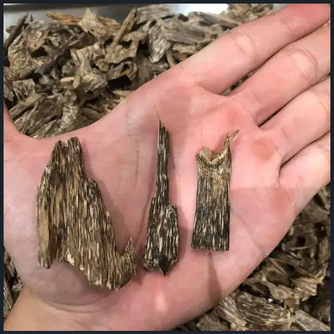 Premium Vietnamese Natural “Kien” Agarwood Chips – High-Oil Oud Pieces for Home &amp; Ritual Use